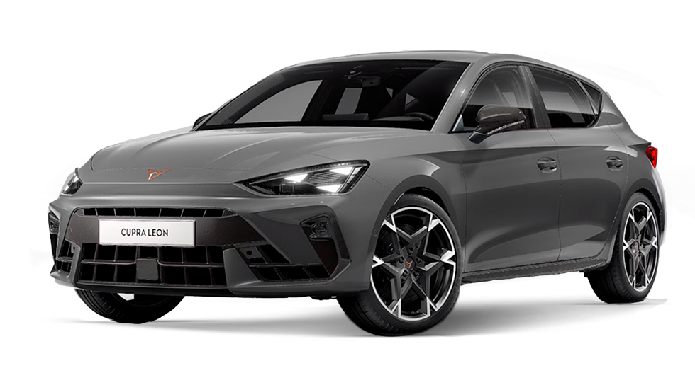 Modelo-CotiRapida-NUEVO-LEON